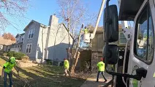 Kansas City Tree Care   913 894 4767   Tree Removal   Olathe 66062 10