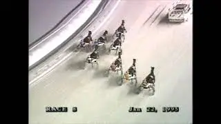 1995 Hawthorne Race Course FALCON'S BAMBY Ron Marsh