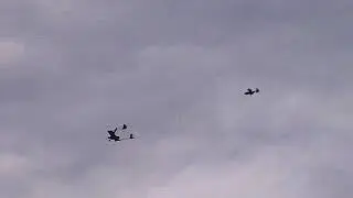 Autonomous rendezvous & formation flight of UAVs | MIT - 2002