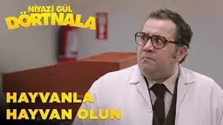 Niyazi Gül Dört Nala | Hayvanla Hayvan Olun