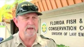Man Charged With Stealing Sea Turtle Eggs on Jupiter Island