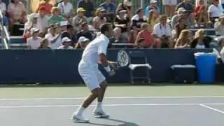 Radek Stepanek tennis serve and backhand half-volley