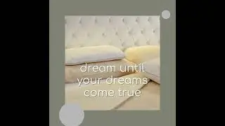 Dream... courtesy of the Sleep Shop Reno