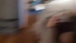 Perfectly cut scream