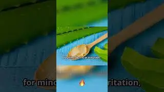 Harvest Aloe Gel_ Safe Harvesting and Uses Explained Learn how to safely harvest aloe gel right from