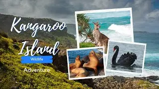 Top Spots in Kangaroo Island, South Australia