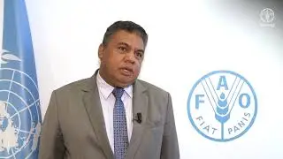 Remarks by Joaquim Jos&eacute; Gusm&atilde;o dos Resis Martins, Minister of Agriculture, Fisheries - Timor Leste