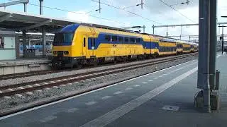 Conditierit DDZ in Zwolle!