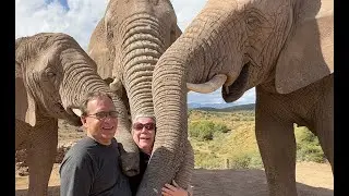 Elephant Experience (Buffelsdrift Game Lodge) South Africa