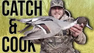 BULL SPRIG! | Catch, Clean, Cook