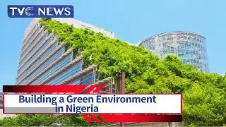 WATCH: How Nigeria Can Achieve One of UN Sustainable Development Goals Building a Green Environment
