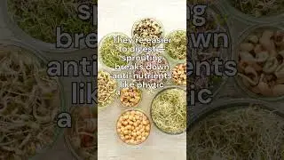 The Benefits of Sprouting Seeds and Pulses | Simple Nutrition Upgrade 🌱