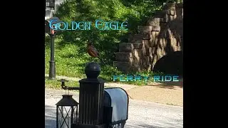Golden Eagle Ferry Ride