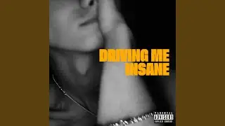 driving me insane (feat. Aidan Ewald)