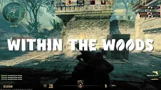 Within The Woods 🪵 (CS2 Montage)