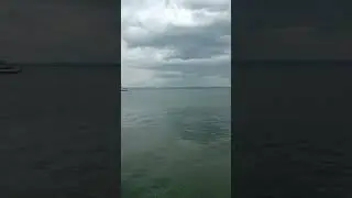 Вид с причала Лангенарген/Langenargen #shorts #new #nature