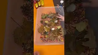 Autumn Sensory Bin #sensoryplay