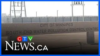 Winnipeg sewer capacity running low: report