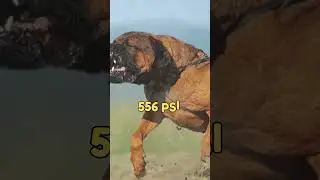Top 6 Dogs with Strongest Bite Force | #dogbite #strongdog #shorts_video