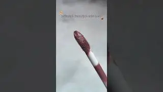 Best Nude Brown Lipstick under Rs. 200 for Indian Skin 🤎 *New* Insight Stay Matte Lipcolor💄#shorts