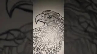 Illustration hand drawing eagle tattoo line🦅#viral #maple #highlights #art #comment #share #video ✨✨