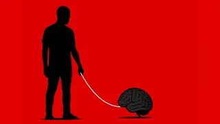 Train Your Brain Like a Pet&hellip; Before It Bites Back