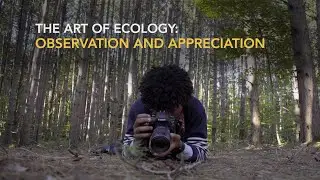 The Art of Ecology: Observation and appreciation