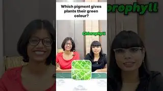 Science Quiz