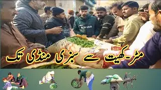 Peas Auction | Matar Ki Boli Sabzi Mandi Jhang Pakistan