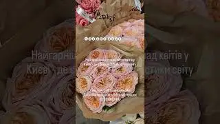 ⓿❾❸.❷❽❼.❷❽❷❽