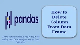 How to Delete a Column from Data Frame | Data Frame | Pandas | Pandas Tutorial