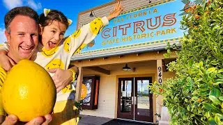 California Citrus State Historic Park: A Delicious Tour