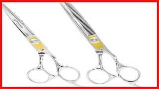 Great product -  Equinox Professional Razor Edge Series Hair Cutting Scissors Set - Barber Hair Cutt