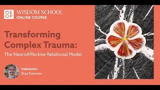 Transforming Complex Trauma Course Trailer
