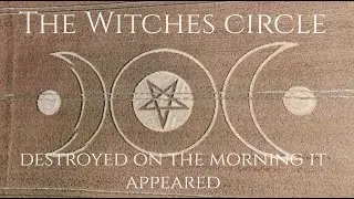 Beech Clump The Witches Crop Circle