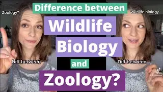 Zoology vs Wildlife Biology: Difference between them?
