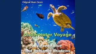 Underwater Voyage