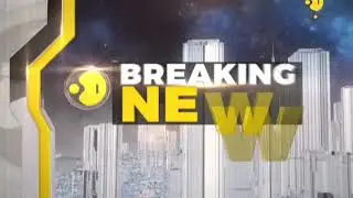 Kamala Mills fire: Mumbai Police arrest 2 managers of '1 above pub' where 14 people died