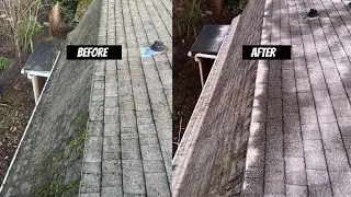 Roof Cleaning Service in Beaverton, OR | Oddly Satisfying