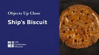 Objects Up Close: Ship's Biscuit