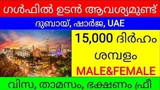 gulf  jobs Malayalam/gulf job vacancy 2022 malayalam/ Dubai jobs/Abudhabi jobs/sharjah jobs/UAE jobs
