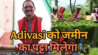 Adivasi को अपना जमीन का पट्टा मिलेगा | Adivasi Rights | Adivasi Land Rights 