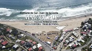 MAICOLPUE- CHILE SELVA COSTERA TRAIL RUNNING