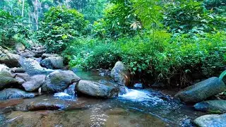 Peaceful River Water for Sleep and Relaxation