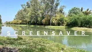 Screensaver || iPhone 14 || 4K 60p HEVC || ASMR
