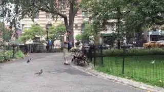 New York City | September 2013