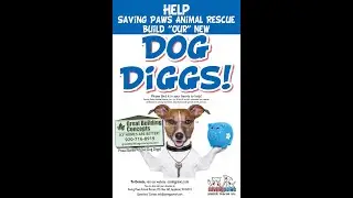 Great Building Concepts Saving Paws Beginning Story