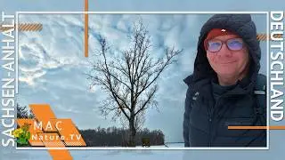 Elsteraue bei Ermlitz - Wintertour von Z&ouml;schen