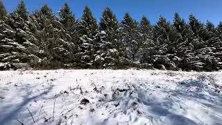 Seneca Trail video