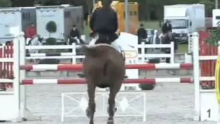Harmony Park - reportažas (TV laida 